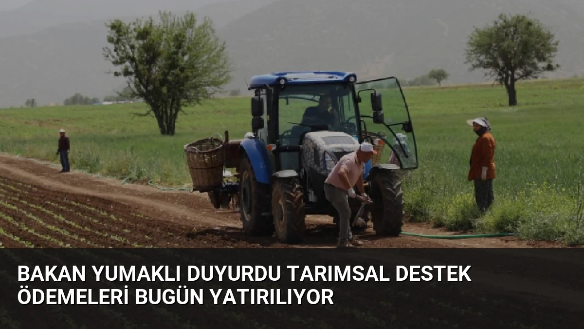 Bakan Yumaklı Duyurdu Tarımsal Destek Ödemeleri Bugün Yatırılıyor