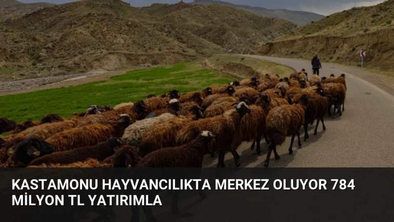 Kastamonu Hayvancılıkta Merkez Oluyor 784 Milyon TL Yatırımla