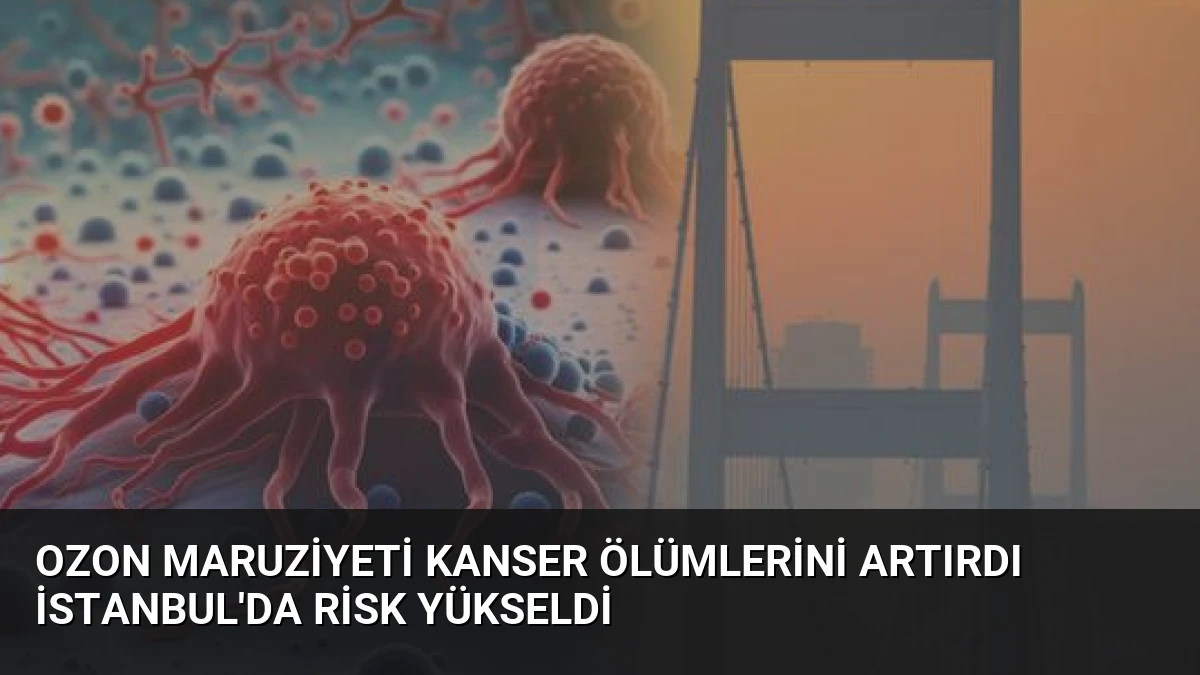 Ozon Maruziyeti Kanser Ölümlerini Artırdı İstanbul’da Risk Yükseldi
