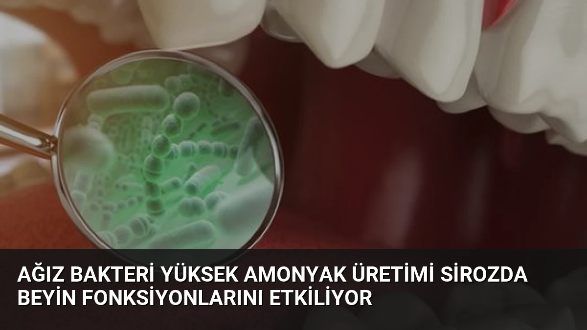 Ağız Bakteri Yüksek Amonyak Üretimi Sirozda Beyin Fonksiyonlarını Etkiliyor