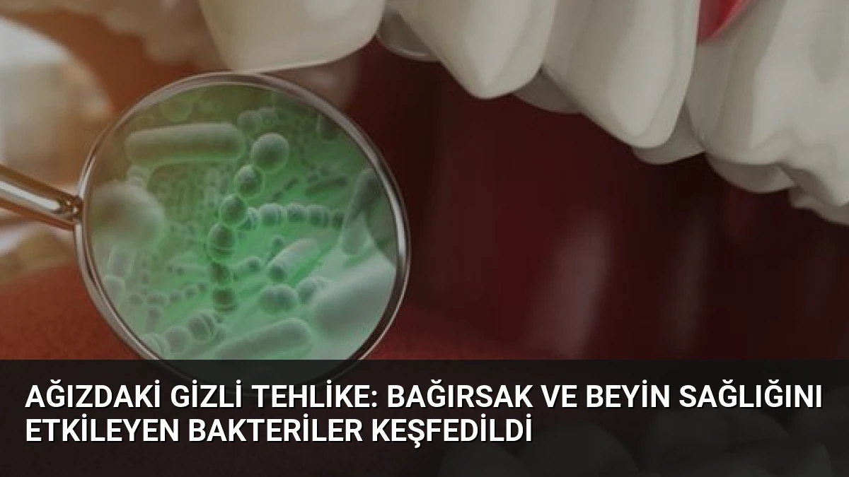 Ağızdaki Gizli Tehlike: Bağırsak ve Beyin Sağlığını Etkileyen Bakteriler Keşfedildi