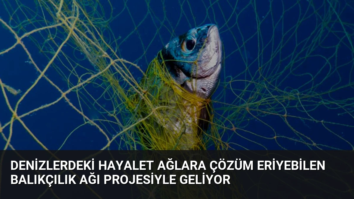 Denizlerdeki Hayalet Ağlara Çözüm Eriyebilen Balıkçılık Ağı Projesiyle Geliyor
