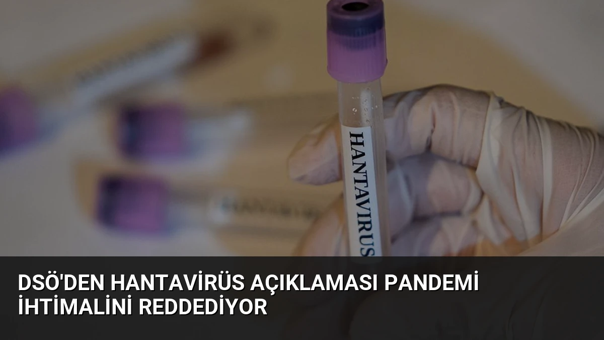 DSÖ’den Hantavirüs Açıklaması Pandemi İhtimalini Reddediyor