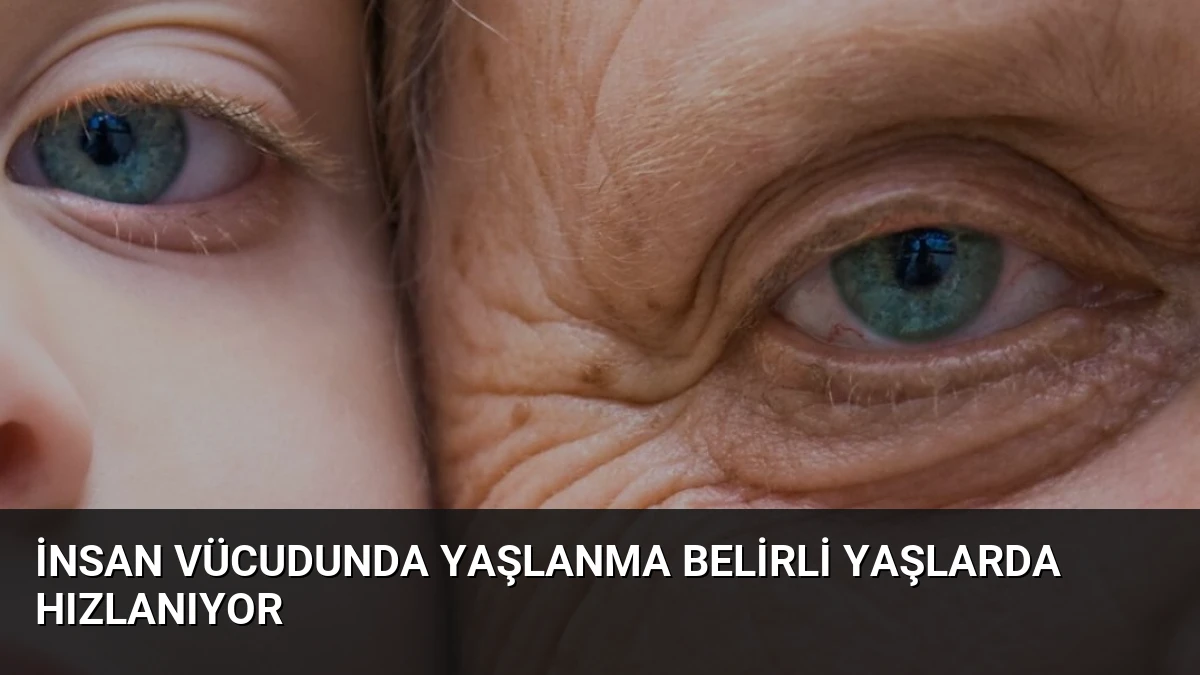 İnsan Vücudunda Yaşlanma Belirli Yaşlarda Hızlanıyor