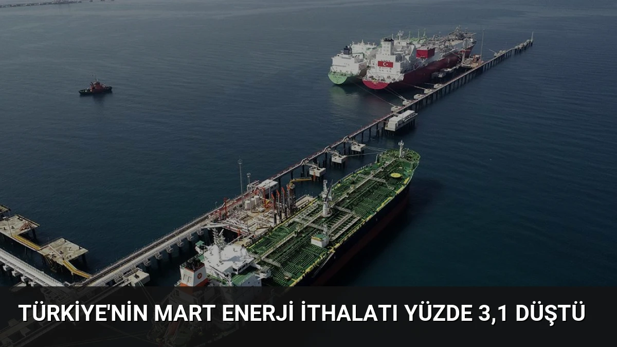 Türkiye’nin Mart Enerji İthalatı Yüzde 3,1 Düştü