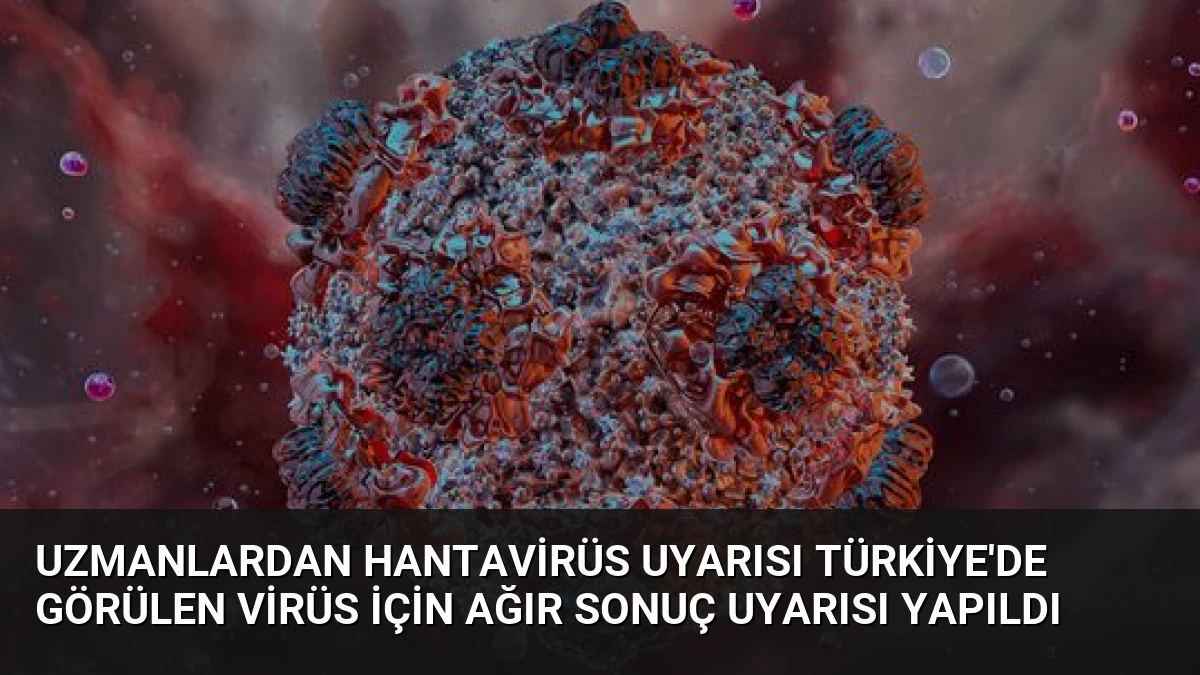 Uzmanlardan Hantavirüs Uyarısı Türkiye’de Görülen Virüs İçin Ağır Sonuç Uyarısı Yapıldı