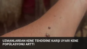 Uzmanlardan Kene Tehdidine Karşı Uyarı Kene Popülasyonu Arttı