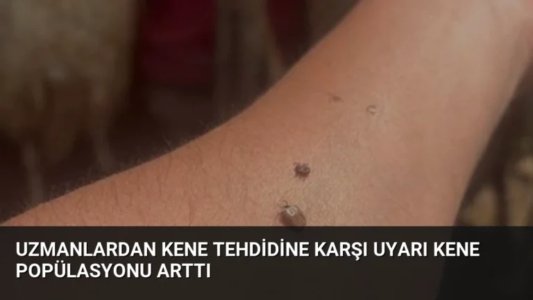 Uzmanlardan Kene Tehdidine Karşı Uyarı Kene Popülasyonu Arttı