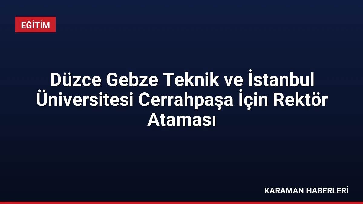 Düzce Gebze Teknik ve İstanbul Üniversitesi Cerrahpaşa İçin Rektör Ataması
