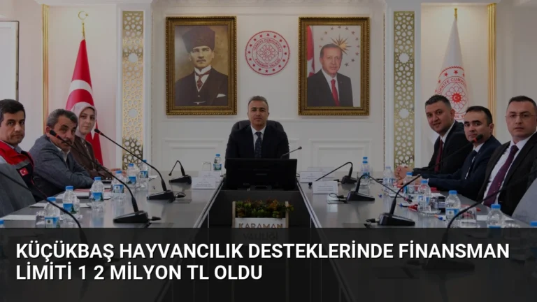 Küçükbaş Hayvancılık Desteklerinde Finansman Limiti 1 2 Milyon TL Oldu