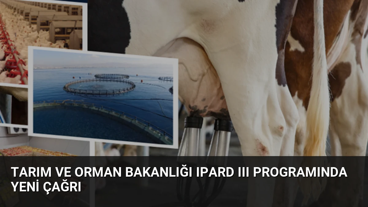Tarım ve Orman Bakanlığı IPARD III Programında Yeni Çağrı