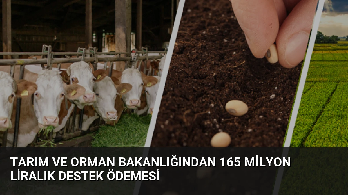 Tarım ve Orman Bakanlığından 165 Milyon Liralık Destek Ödemesi