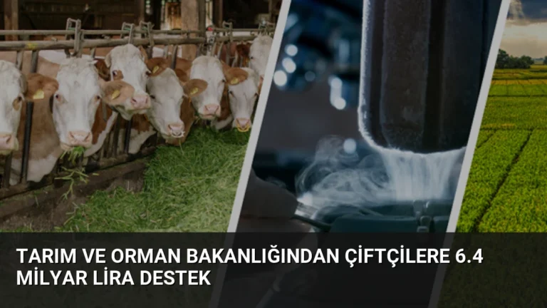 Tarım ve Orman Bakanlığından Çiftçilere 6.4 Milyar Lira Destek