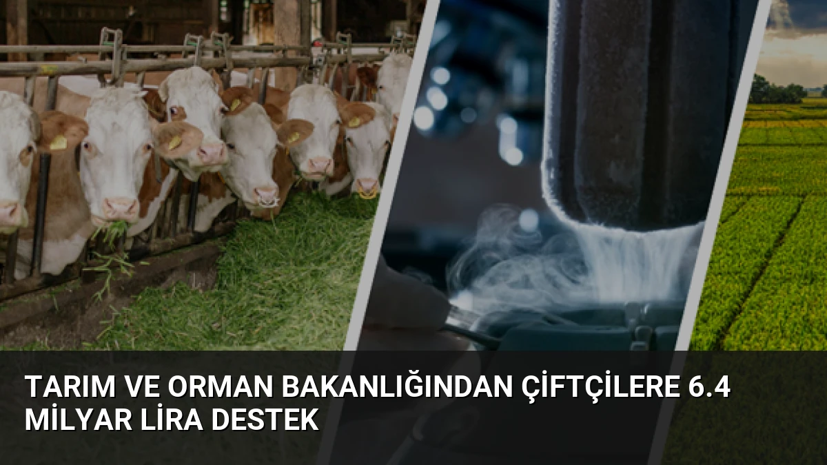 Tarım ve Orman Bakanlığından Çiftçilere 6.4 Milyar Lira Destek