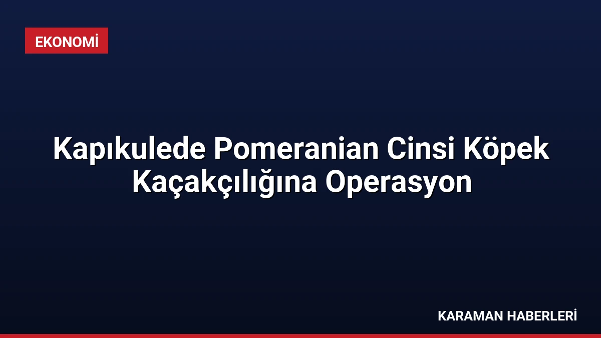 Kapıkulede Pomeranian Cinsi Köpek Kaçakçılığına Operasyon