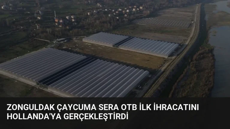 Zonguldak Çaycuma Sera OTB İlk İhracatını Hollanda’ya Gerçekleştirdi