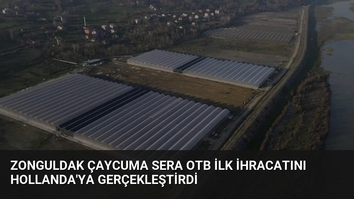 Zonguldak Çaycuma Sera OTB İlk İhracatını Hollanda’ya Gerçekleştirdi
