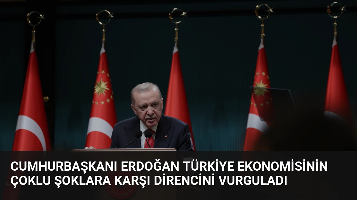 Cumhurbaşkanı Erdoğan Türkiye ekonomisinin çoklu şoklara karşı direncini vurguladı
