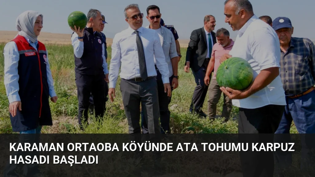 Karaman Ortaoba Köyünde Ata Tohumu Karpuz Hasadı Başladı