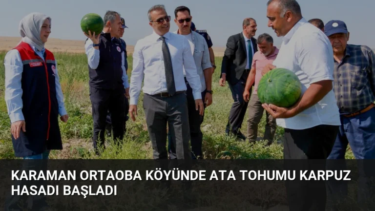 Karaman Ortaoba Köyünde Ata Tohumu Karpuz Hasadı Başladı