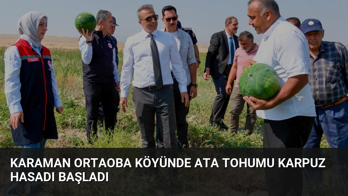 Karaman Ortaoba Köyünde Ata Tohumu Karpuz Hasadı Başladı
