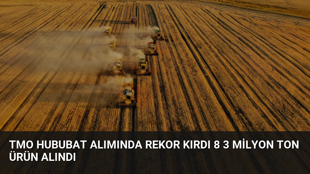 TMO Hububat Alımında Rekor Kırdı 8 3 Milyon Ton Ürün Alındı