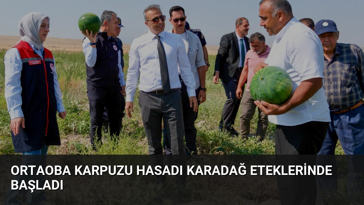 Ortaoba Karpuzu Hasadı Karadağ Eteklerinde Başladı