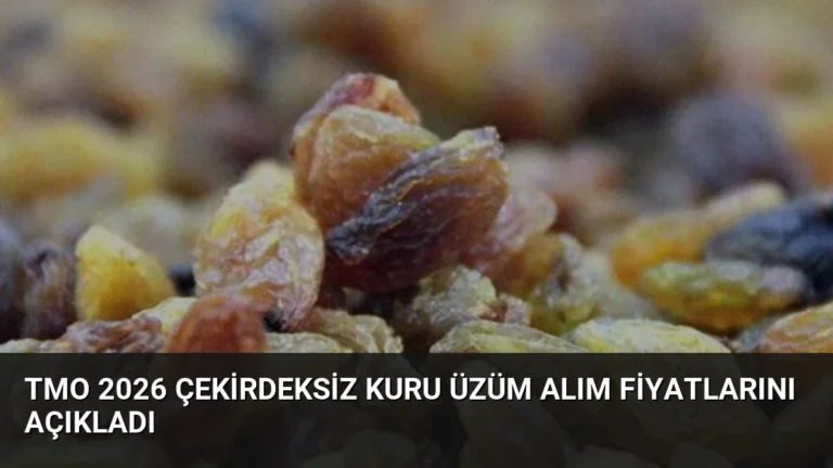 TMO 2026 Çekirdeksiz Kuru Üzüm Alım Fiyatlarını Açıkladı