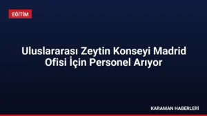 Uluslararası Zeytin Konseyi Madrid Ofisi İçin Personel Arıyor