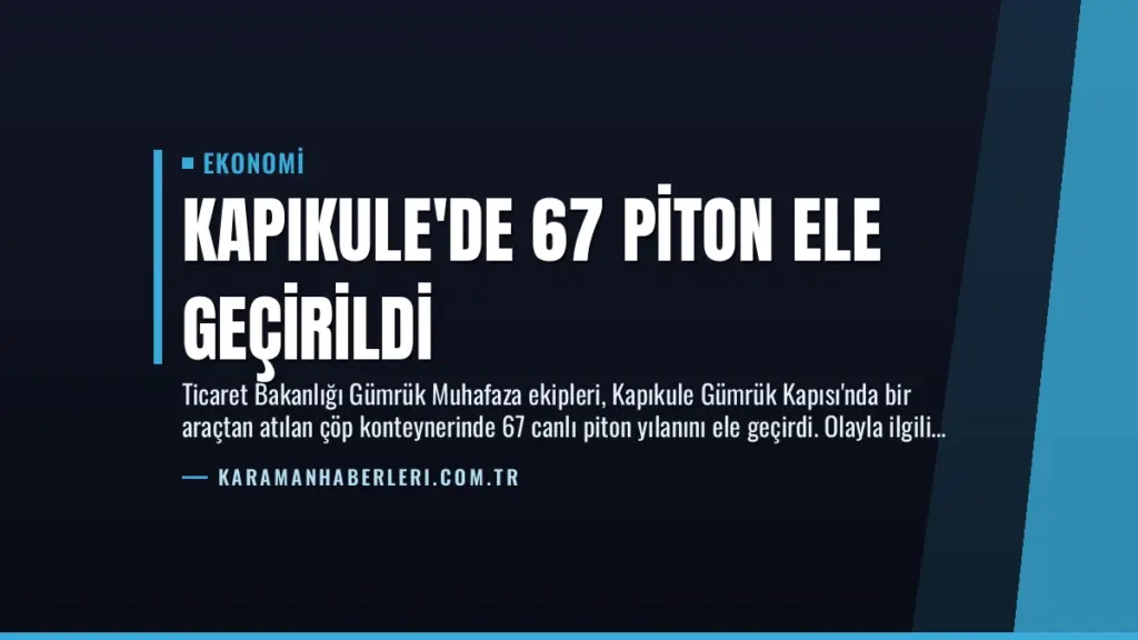 Kapıkule'de 67 Piton Ele Geçirildi