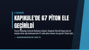 Kapıkule’de 67 Piton Ele Geçirildi