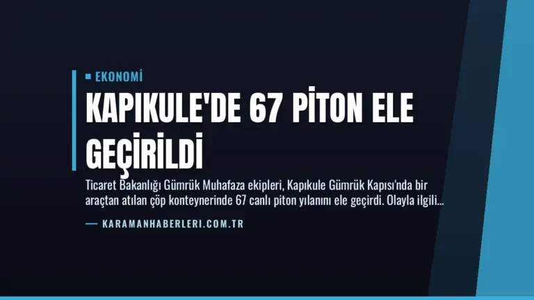 Kapıkule’de 67 Piton Ele Geçirildi