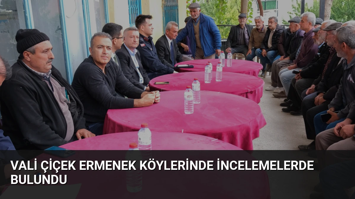 Vali Çiçek Ermenek Köylerinde İncelemelerde Bulundu